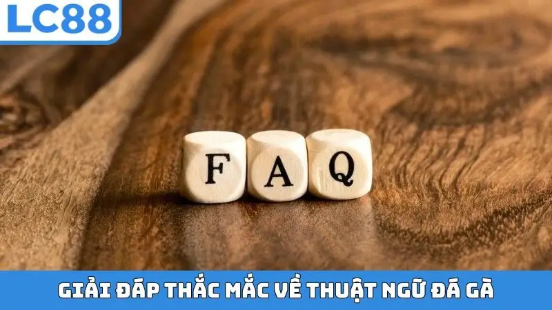 Giải đáp thắc mắc về thuật ngữ đá gà