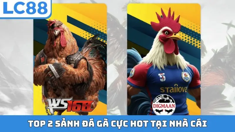 Top 2 sảnh đá gà cực hot tại nhà cái